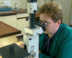 H&auml;rtepr&uuml;fen